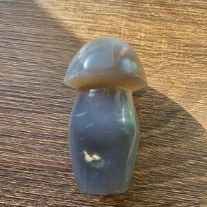 Orca agate mushroom carving crystal druzy b grey gray cream tan white